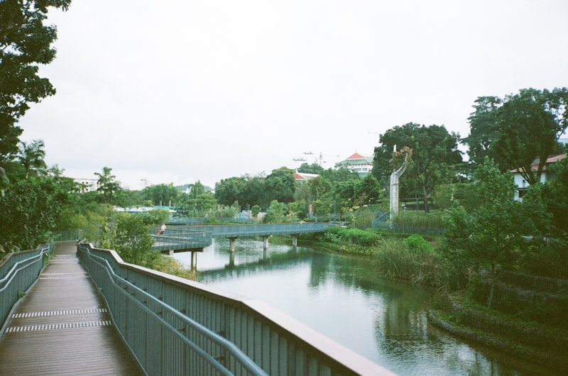 Singapore park connector boardwalk along waterway with lush greenery